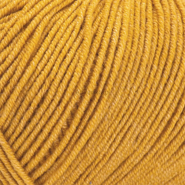 Jeans 84 zoom.jpg