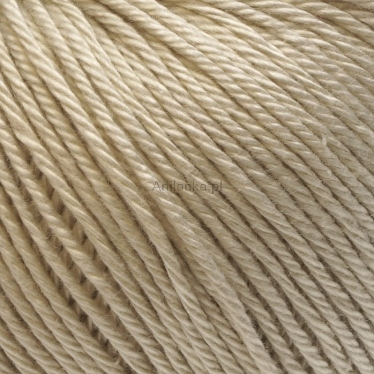 Ariadna Wenus 3001 zoom.jpg