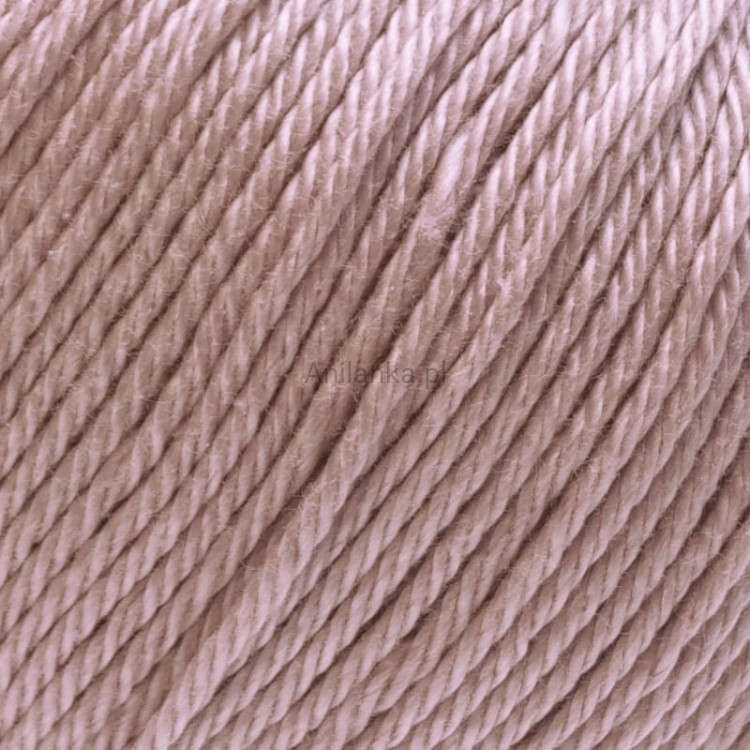 Ariadna Wenus 3004 zoom.jpg