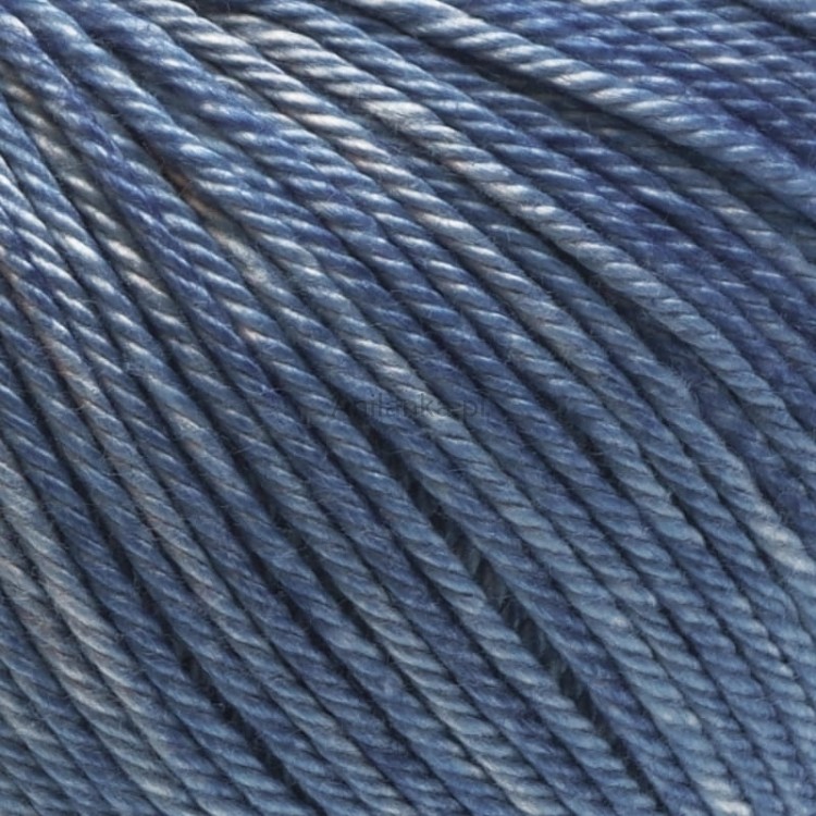 Ariadna Wenus 3005 zoom.jpg