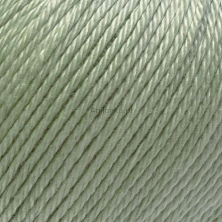 Ariadna Wenus 3006 zoom.jpg