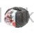 Kosmo 235.jpg