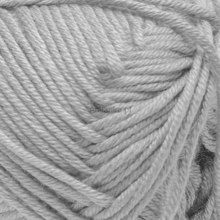 Palmera 2007 zoom.jpg