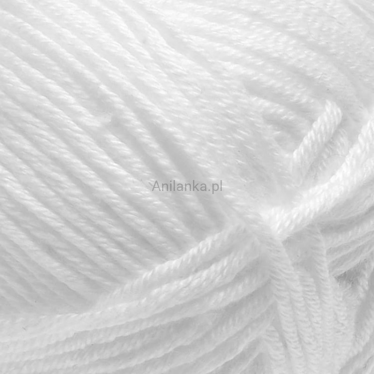 Palmera 2013 zoom.jpg