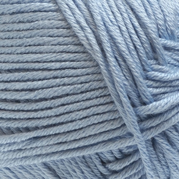 Palmera 2136 zoom.jpg