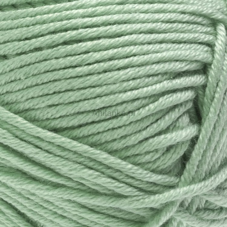 Palmera 2176 zoom.jpg