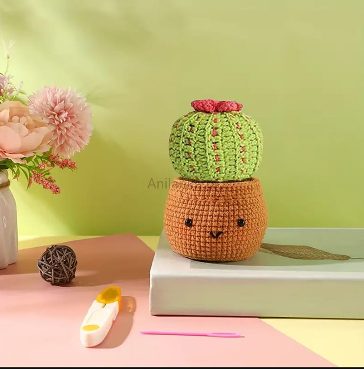 ZESTAW KAKTUS C4 4.jpg