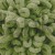 11_puffy_alize_IMG_zoom.jpg