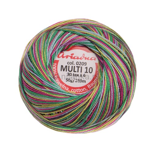 MULTI 10 0209_2.jpg