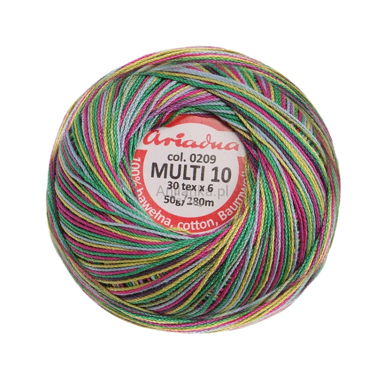MULTI 10 0209_2.jpg