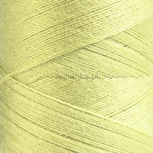 nici-talia-120-500m-806-odcien-pistacjowego (1).jpg