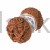 p14390-softy-plus-k-321-wloczka.jpg