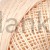 muza_50_1525_zoom.jpg
