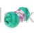 610_cotton_gold_alize_IMG_5059.jpg