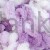 5923_puffy_alize_IMG_2072.jpg