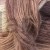6779_angora_gold_batik_alize_IMG_1498.jpg