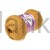 02_cotton_gold_alize_IMG_5051.jpg
