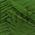 027_clover_50g_LP_IMG_4975.jpg