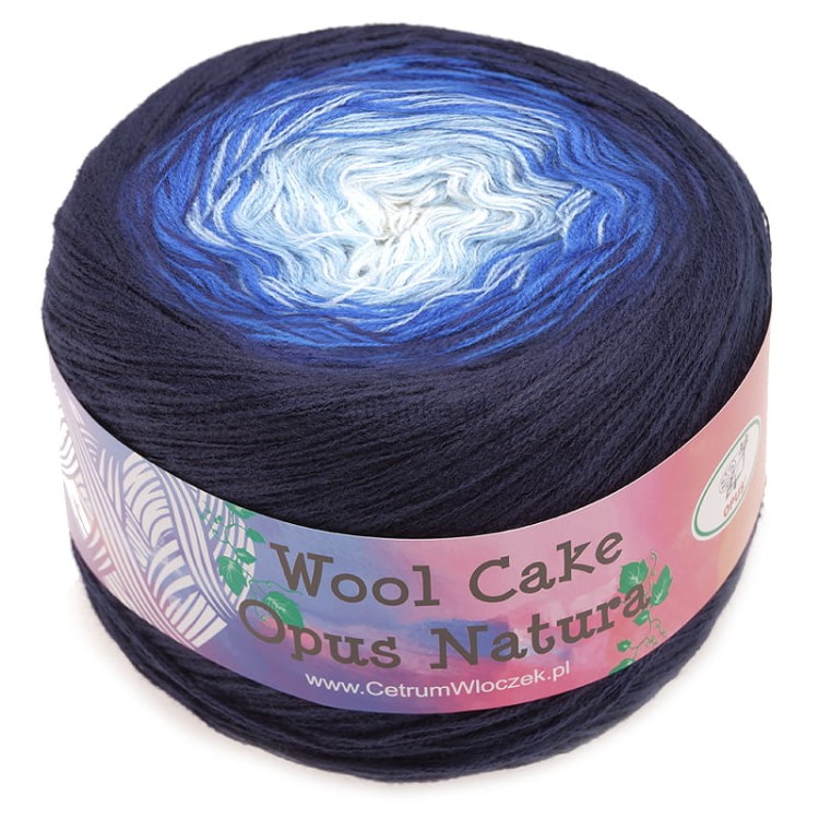 wool cake 17.jpg