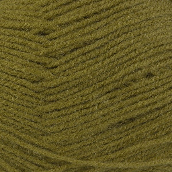 Mimoza_proba_36.jpg