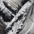 grey_columbine_LP_MG_0744.jpg